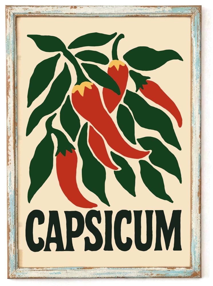 Chili Pepper Botanical Print