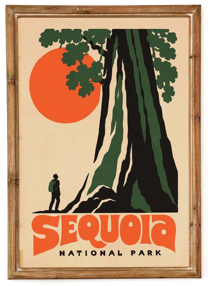 Sequoia National Park Redwood Print