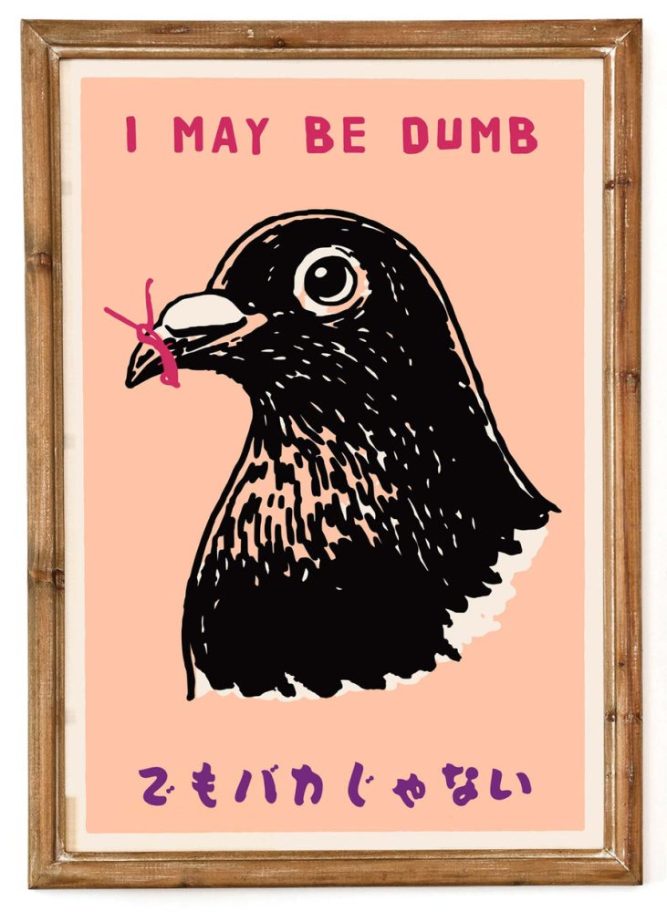 Confused Pigeon Poster