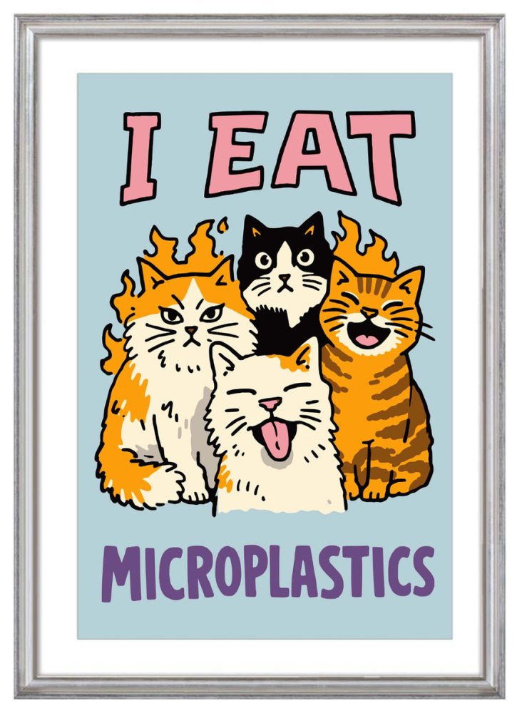 Cats & Microplastics Poster
