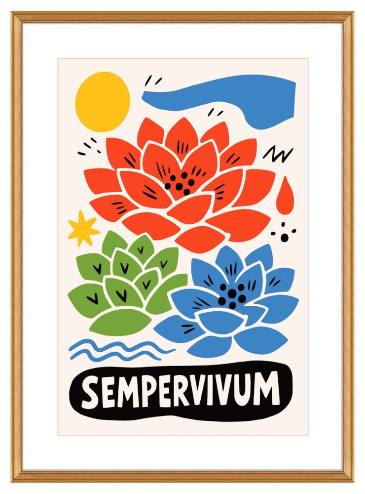Sempervivum Botanical Poster Art Print