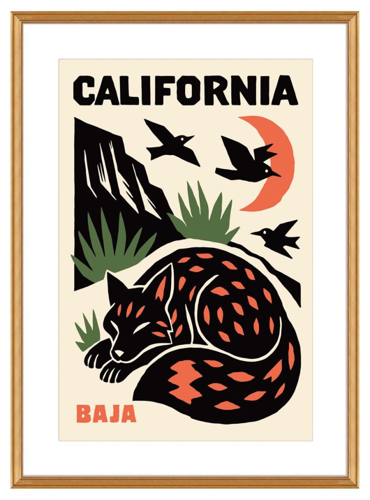 California Baja Fox Poster Print