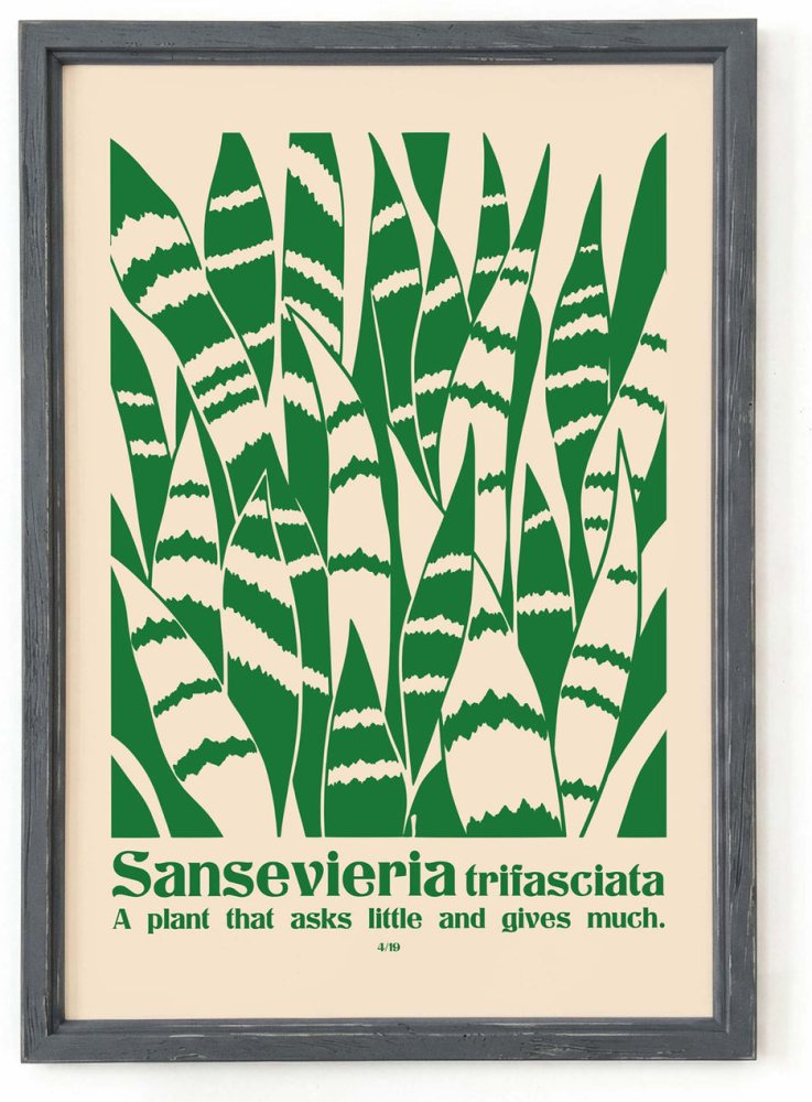 Snake Plant Botanical Wall Art