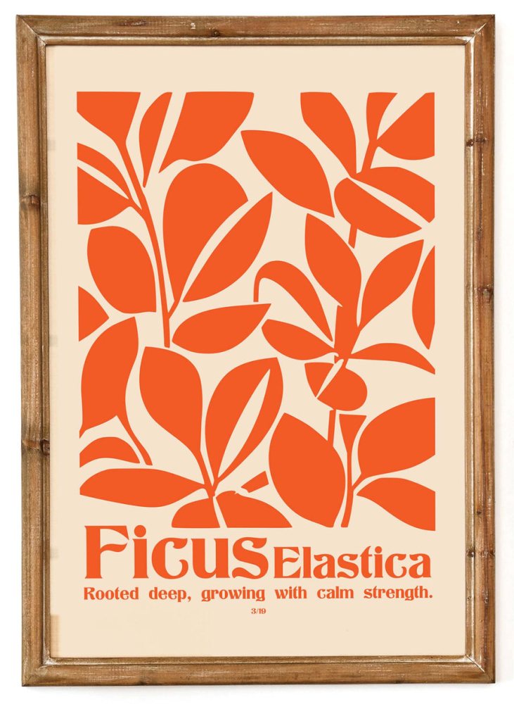 Ficus Elastica Botanical Print