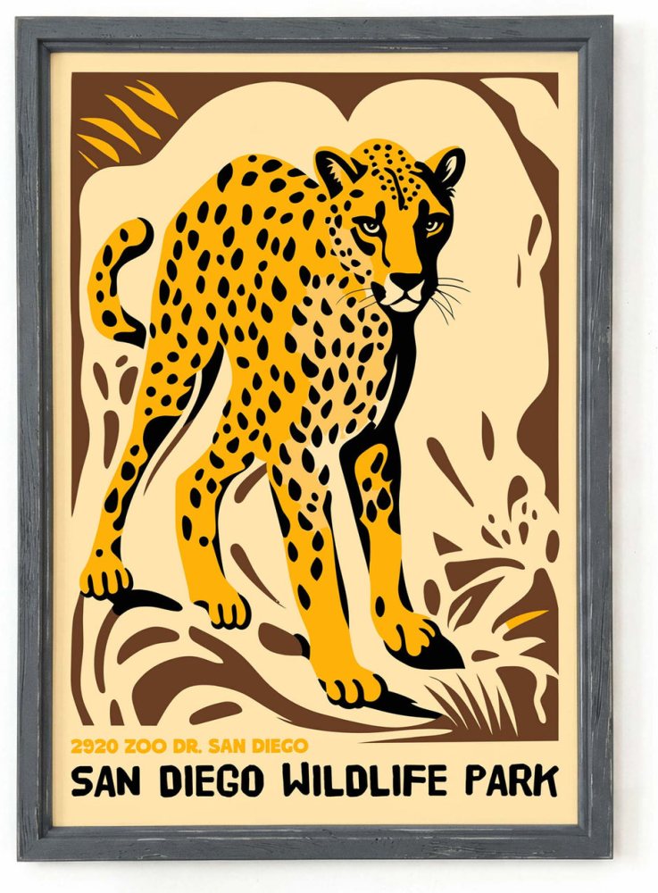 San Diego Cheetah Poster Print