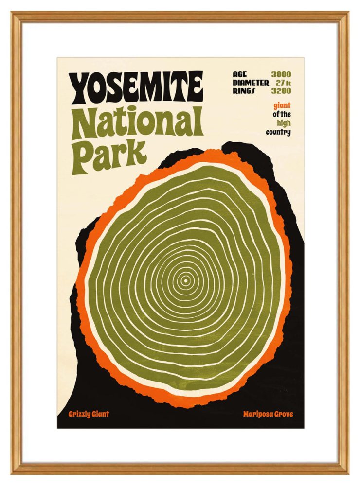 Yosemite National Park Wall Print