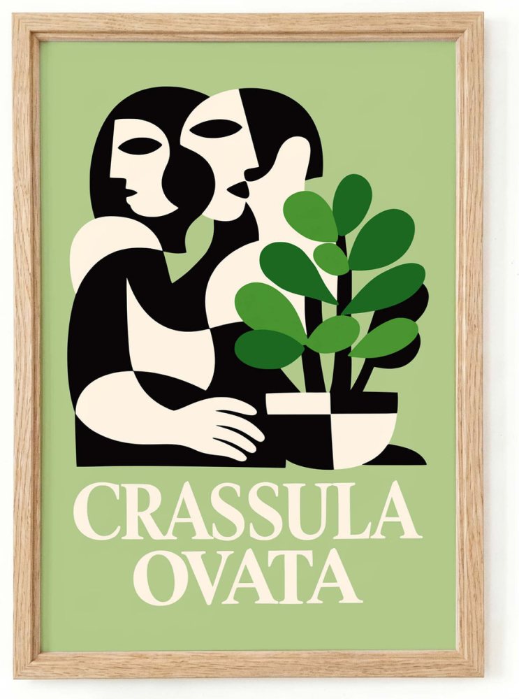 Crassula Ovata Botanical Art Print