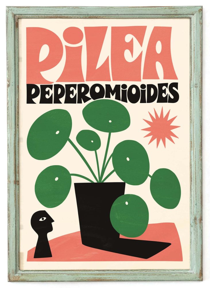 Pilea Peperomioides Plant Poster