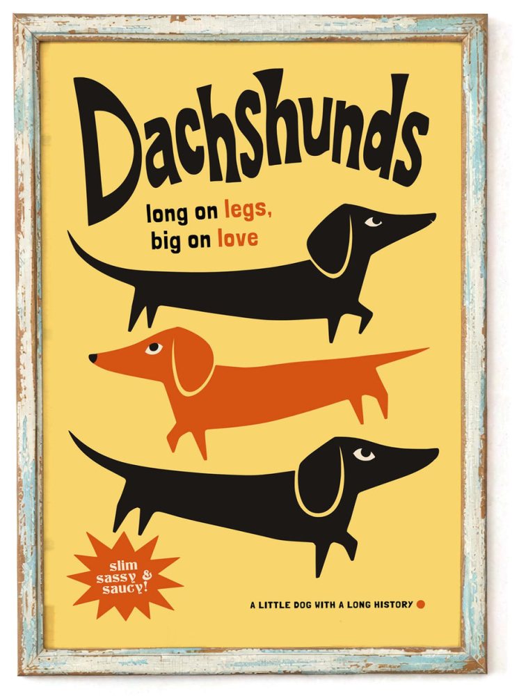 Dachshunds Wall Art