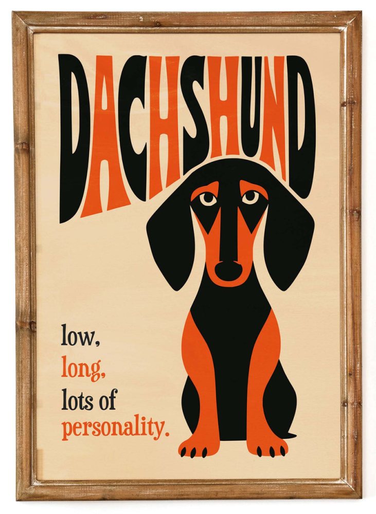 Dachshund Dog Poster Print