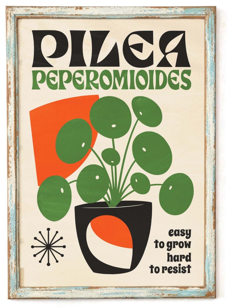 Pilea Plant Poster For Living Room