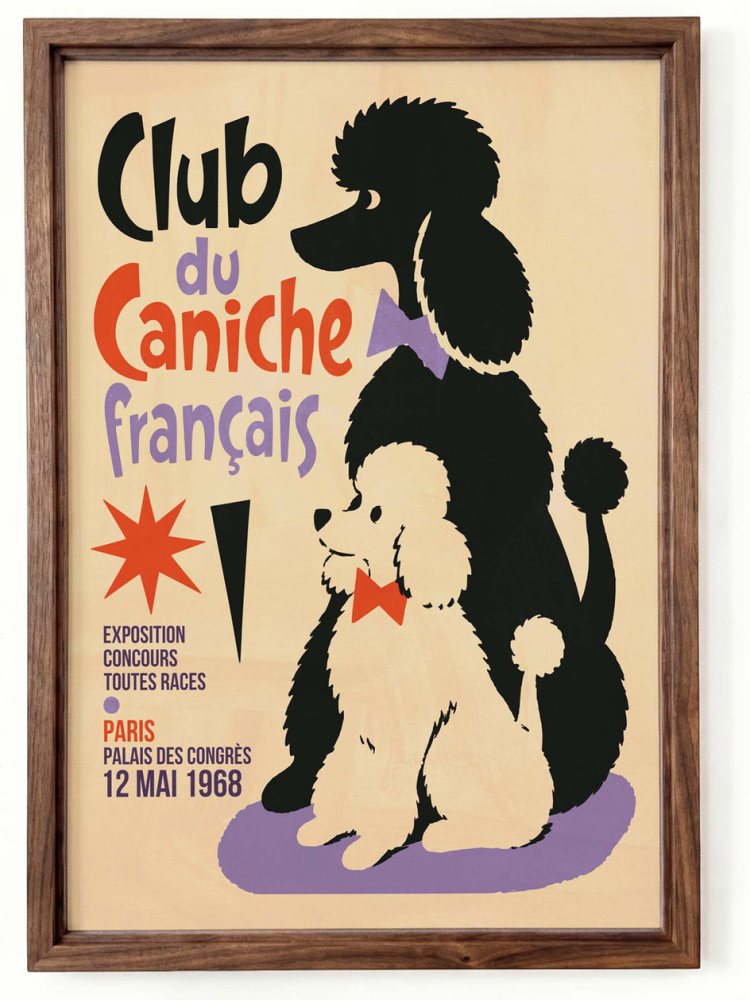French Poodle Club Poster Wall Art