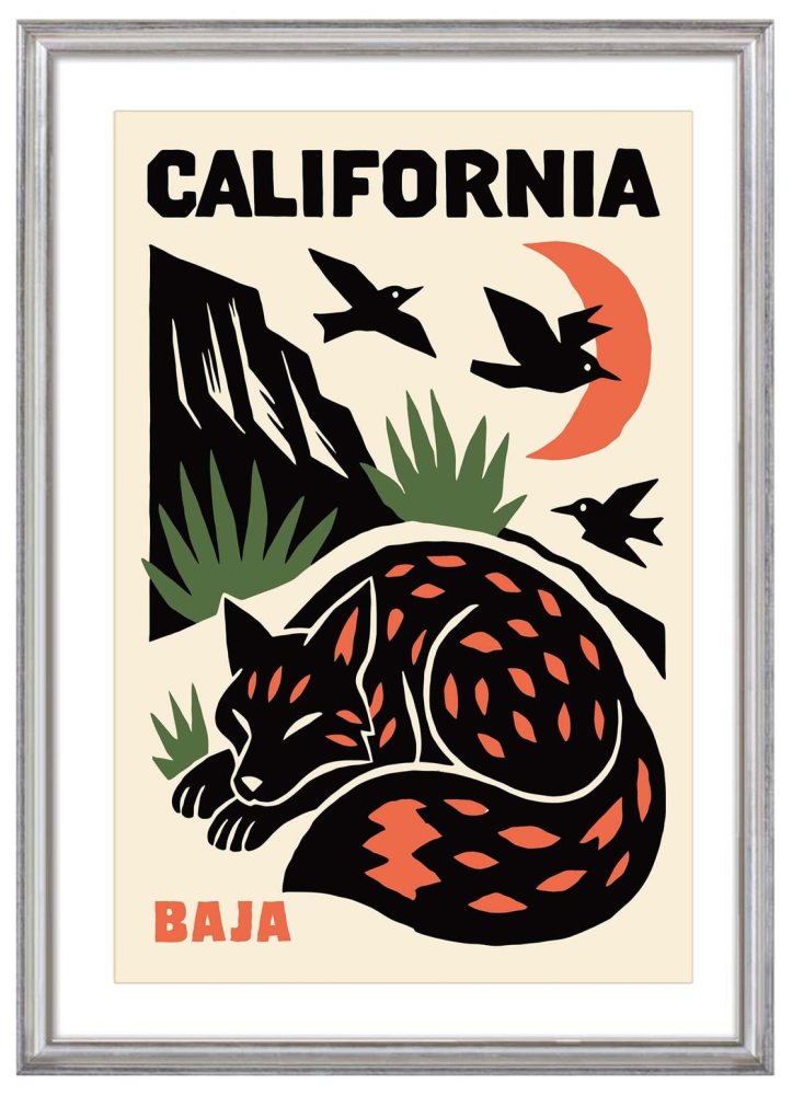 California Baja Fox Wildlife Print