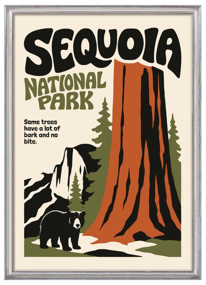 Sequoia National Park Wall Art