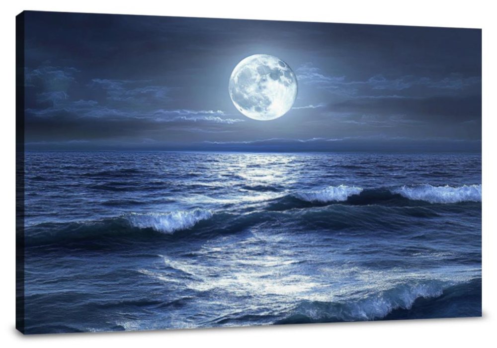 Moonlight Wave Whisper Canvas