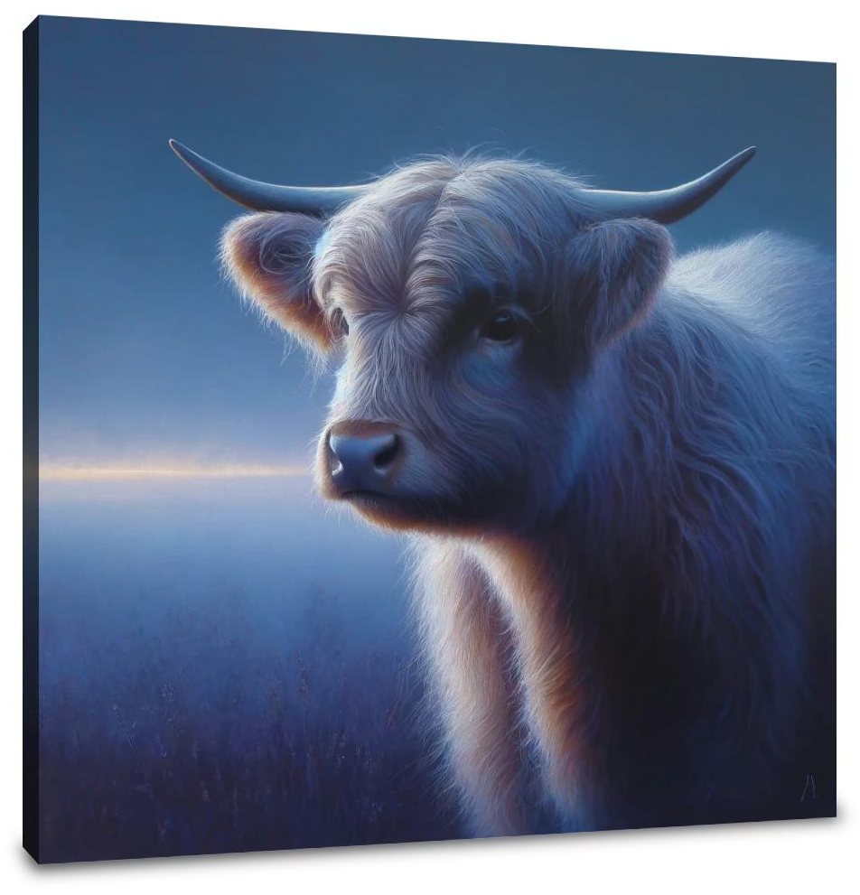 Highland Cow Evening Calm Canvas