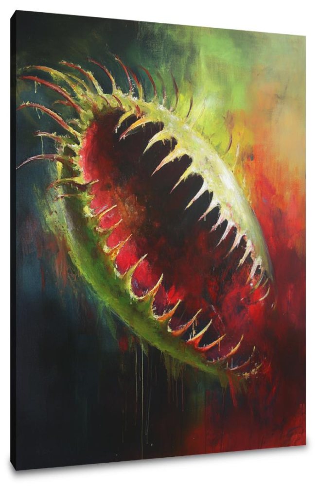 Fearless Flytrap Canvas