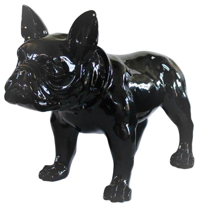 Grote Franse Bull Dog Zwart