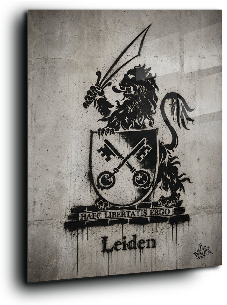 Leiden Stadsschild Graffiti Art