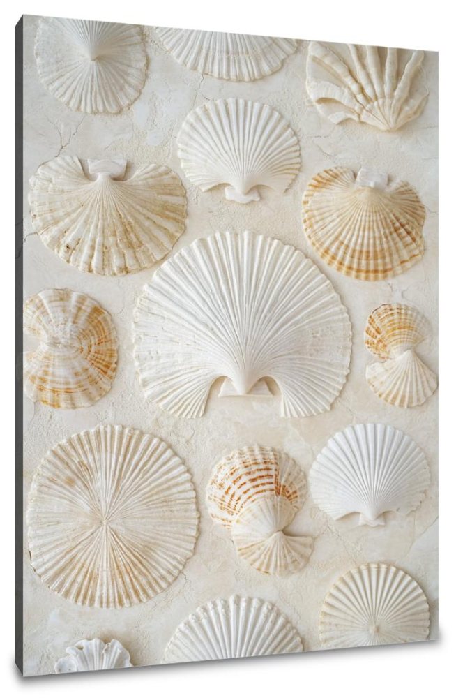 Seashell Serenity Canvas