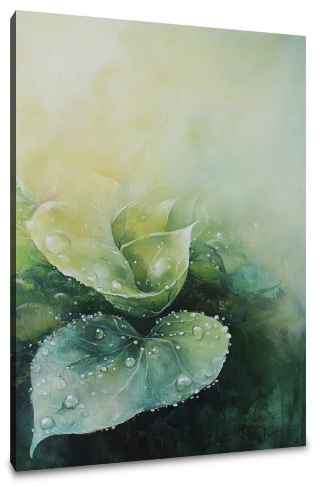 Morning Dew Reverie Canvas