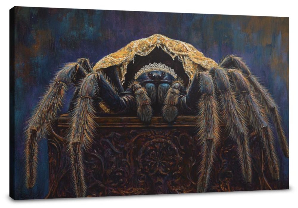 Regal Tarantula Canvas