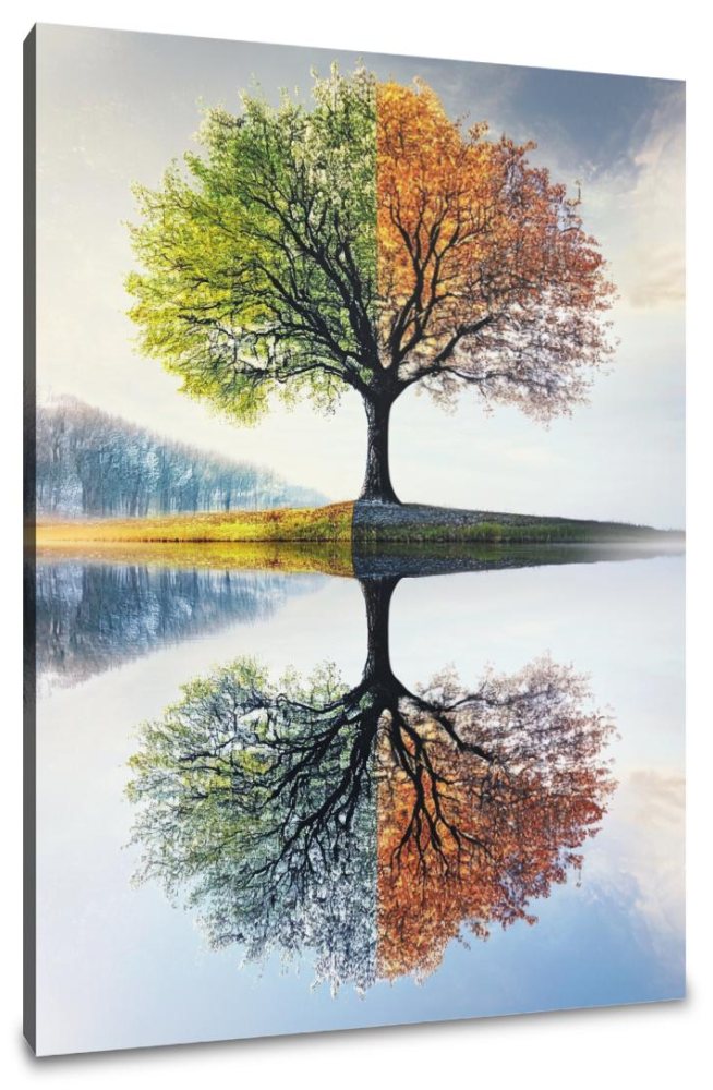Seasons Reflected Canvas