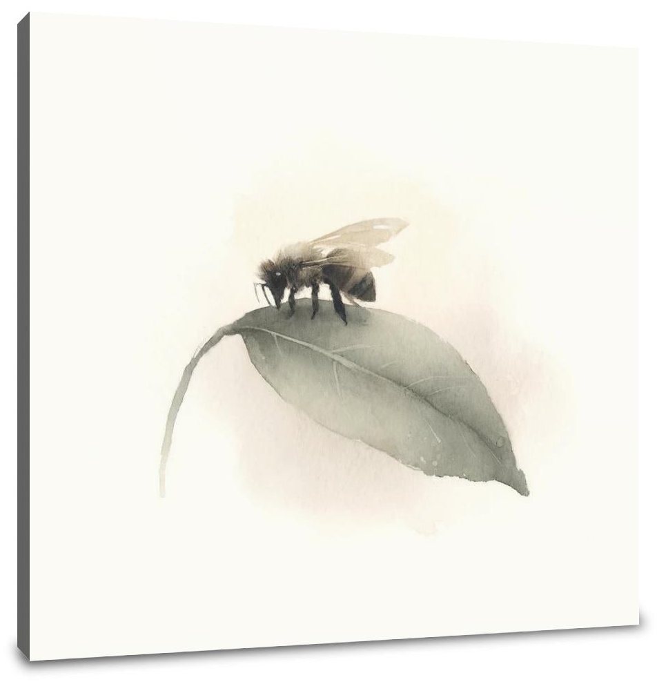 Bee's Quiet Moment Canvas