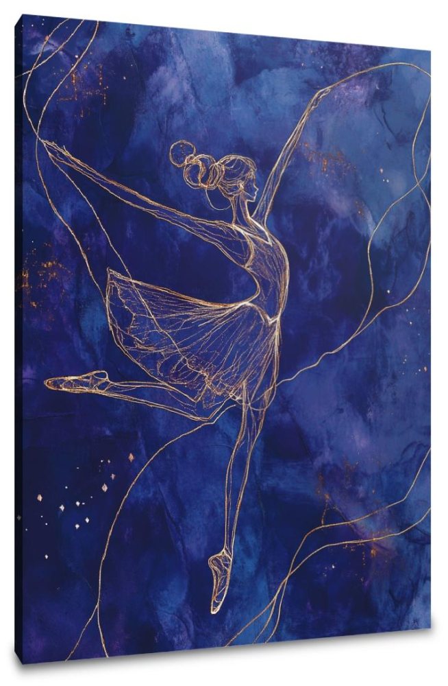 Ballet Starry Night Canvas