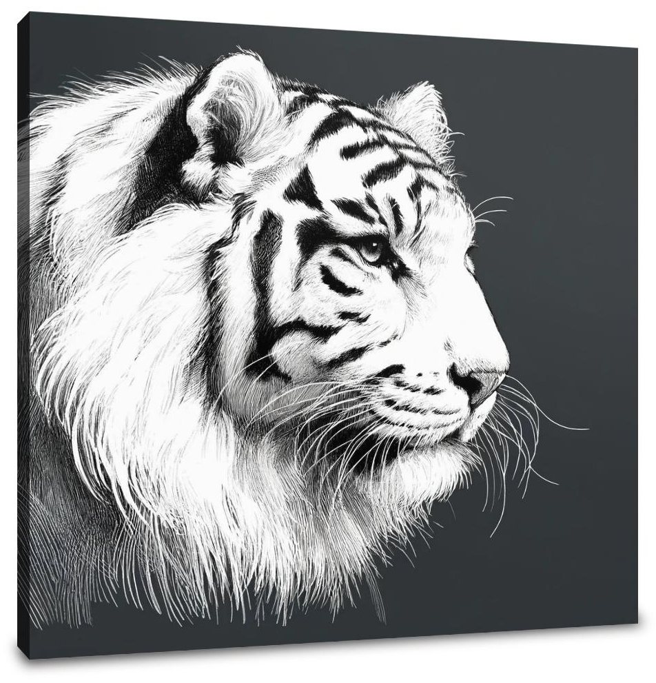 Regal Tiger Canvas