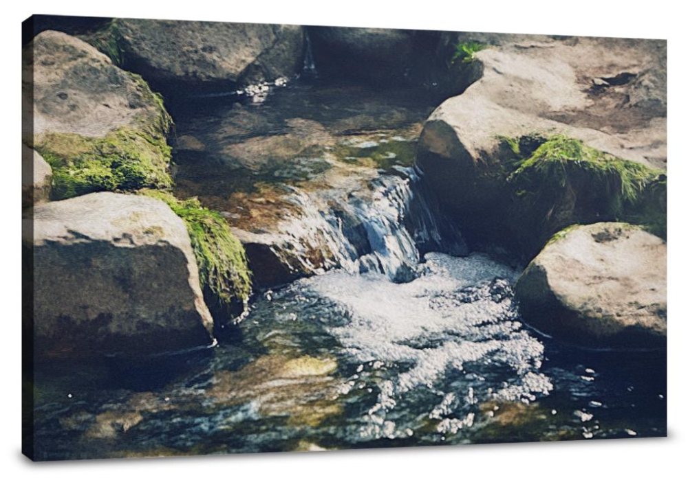 Tranquil Brook Canvas