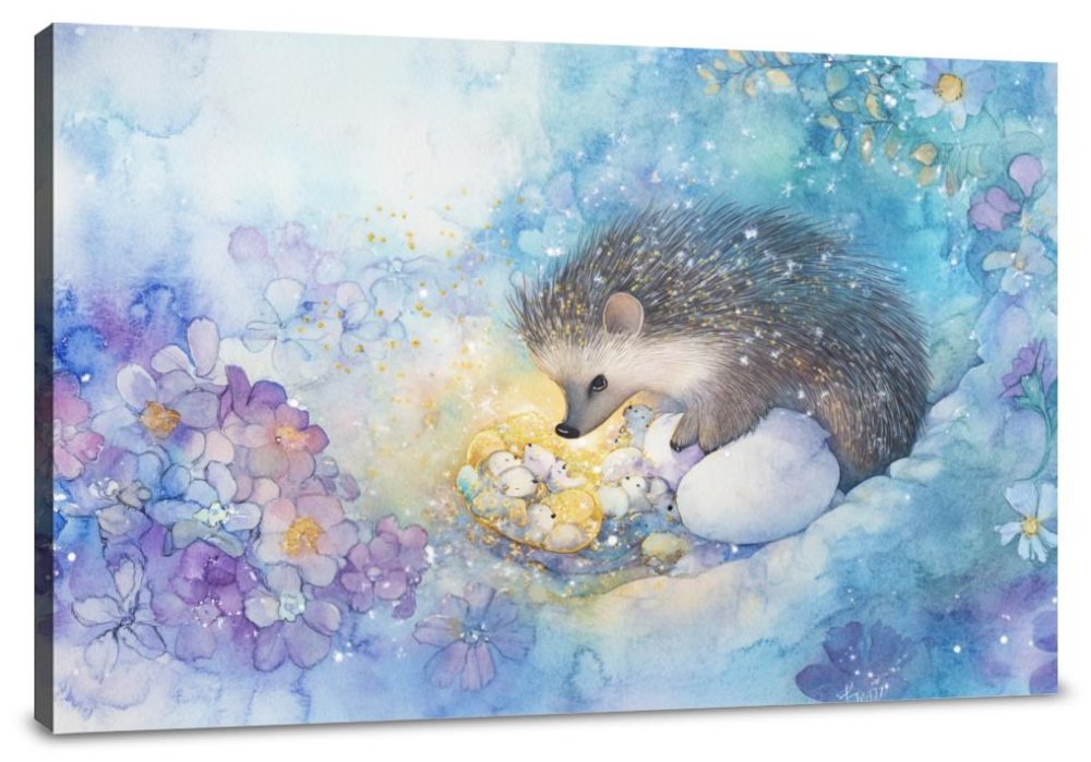 Hedgehog Dreamweaver Canvas