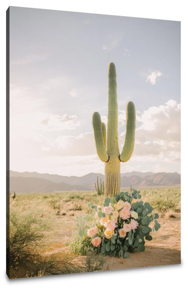 Desert Cactus Canvas