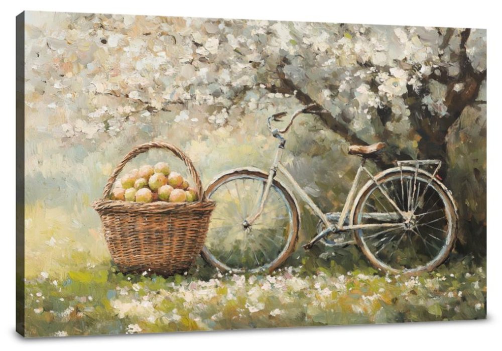 Bicycle and Blossom Canvas