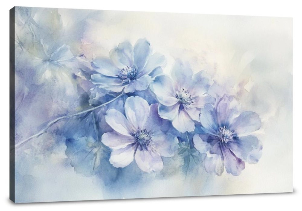 Melancholy Cineraria Canvas