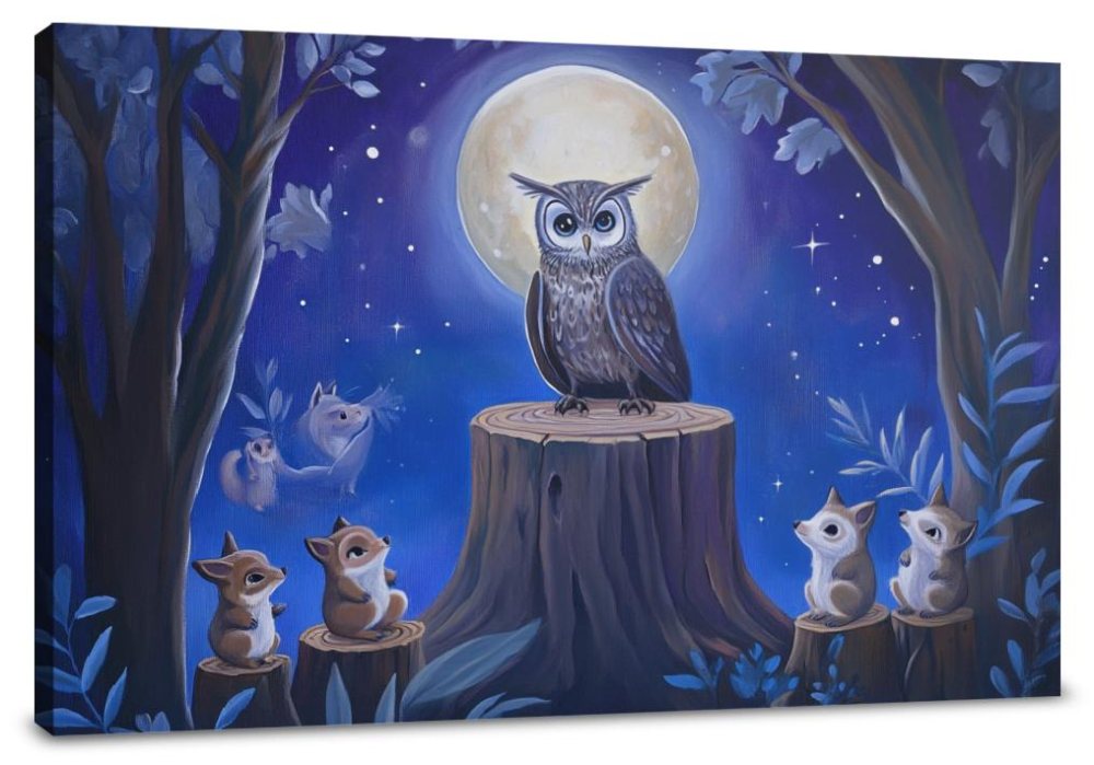 Owl's Stardust Canvas