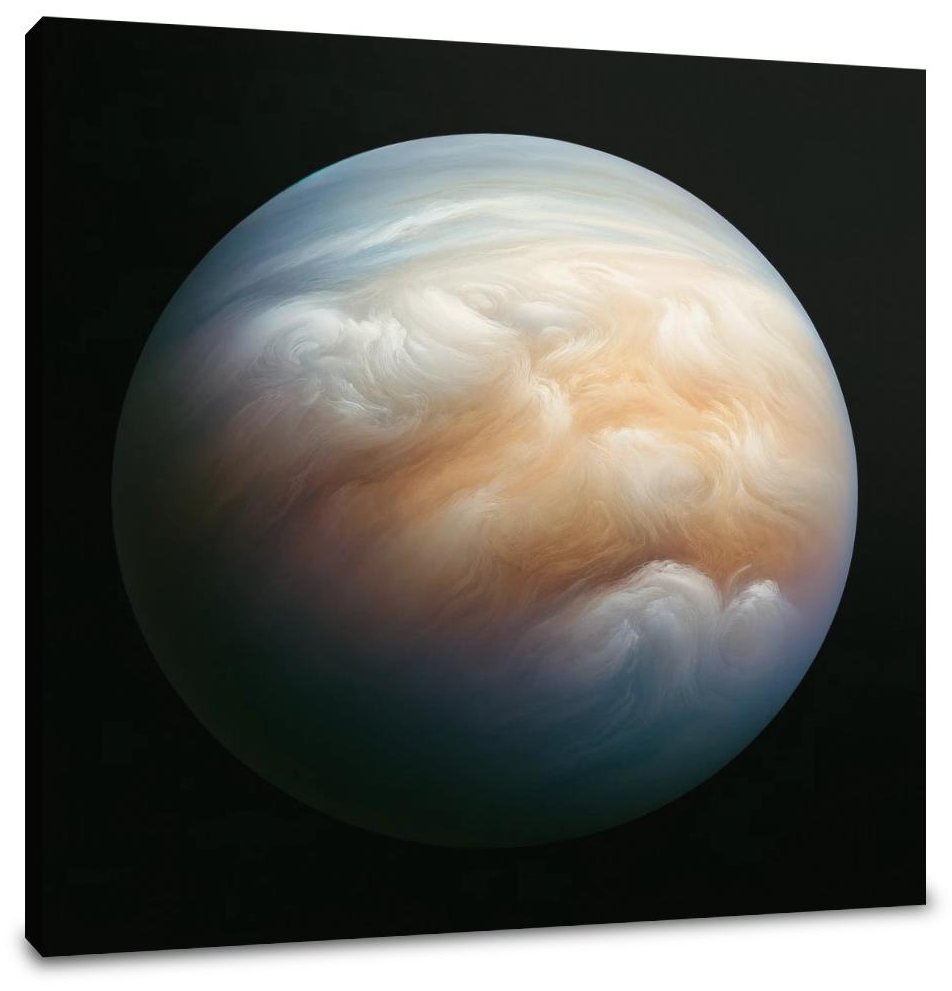 Venus' Veiled Beauty Canvas