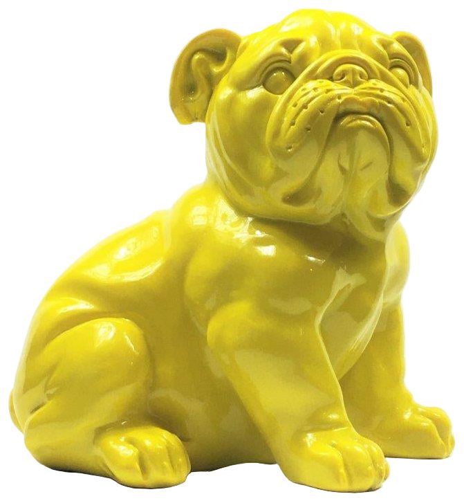 Franse Bull Dog Pup Geel