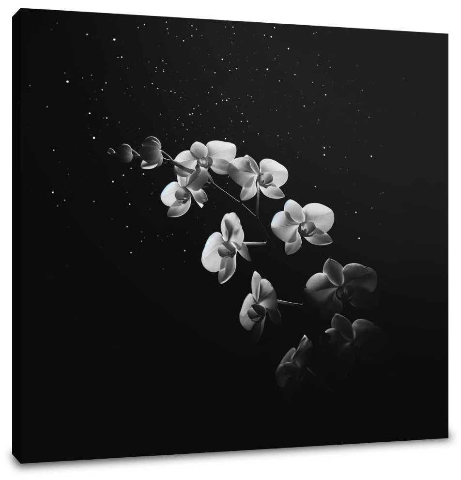 Ethereal Orchid Canvas