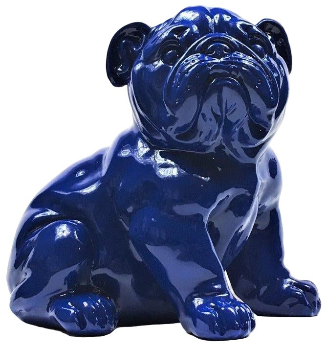 Franse Bull Dog Pup Blauw