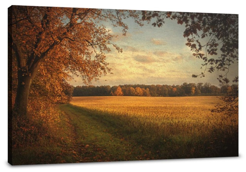 Golden Autumn Dusk Canvas