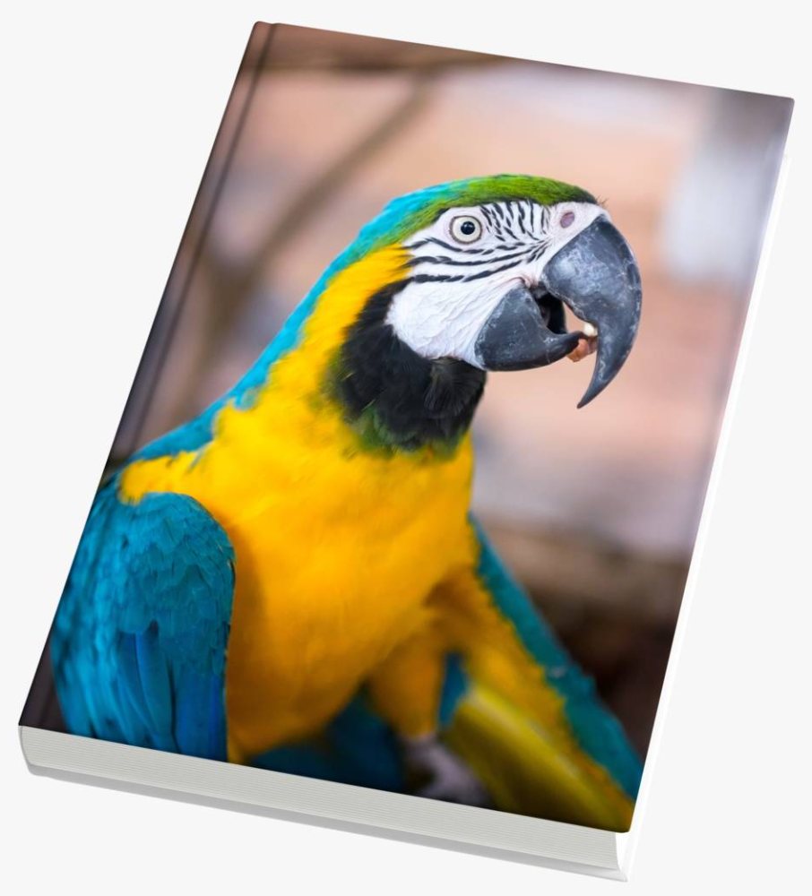 Foto Buch 20 x 25 online drucken lassen - personalisierbar