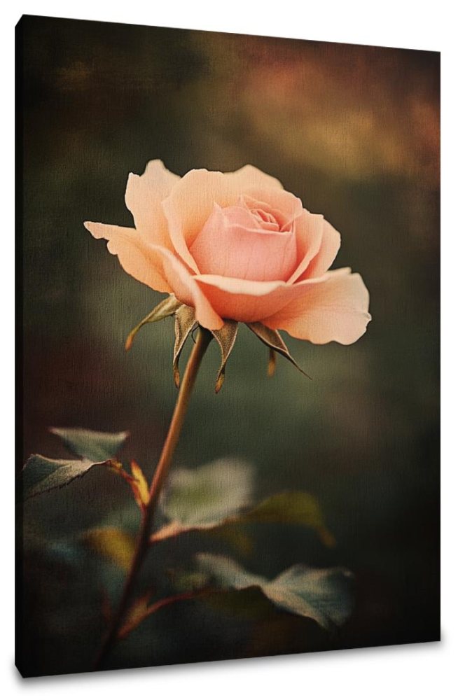 Nostalgic Rose Canvas