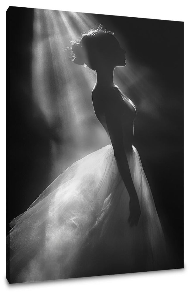 Spotlight Elegance Canvas