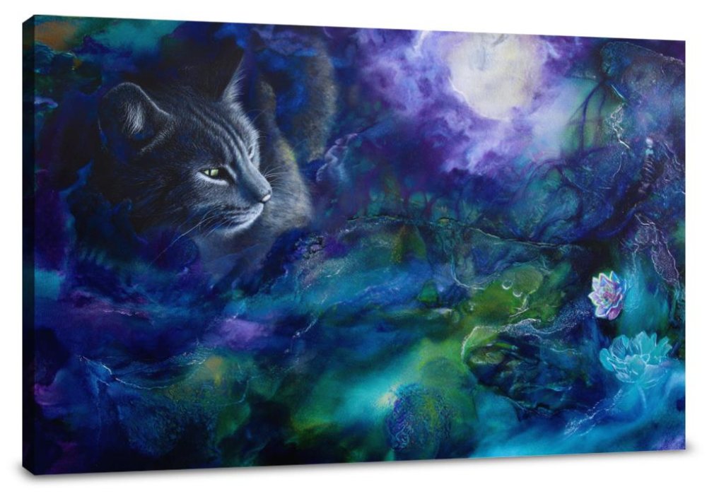 Dreaming Cat Canvas