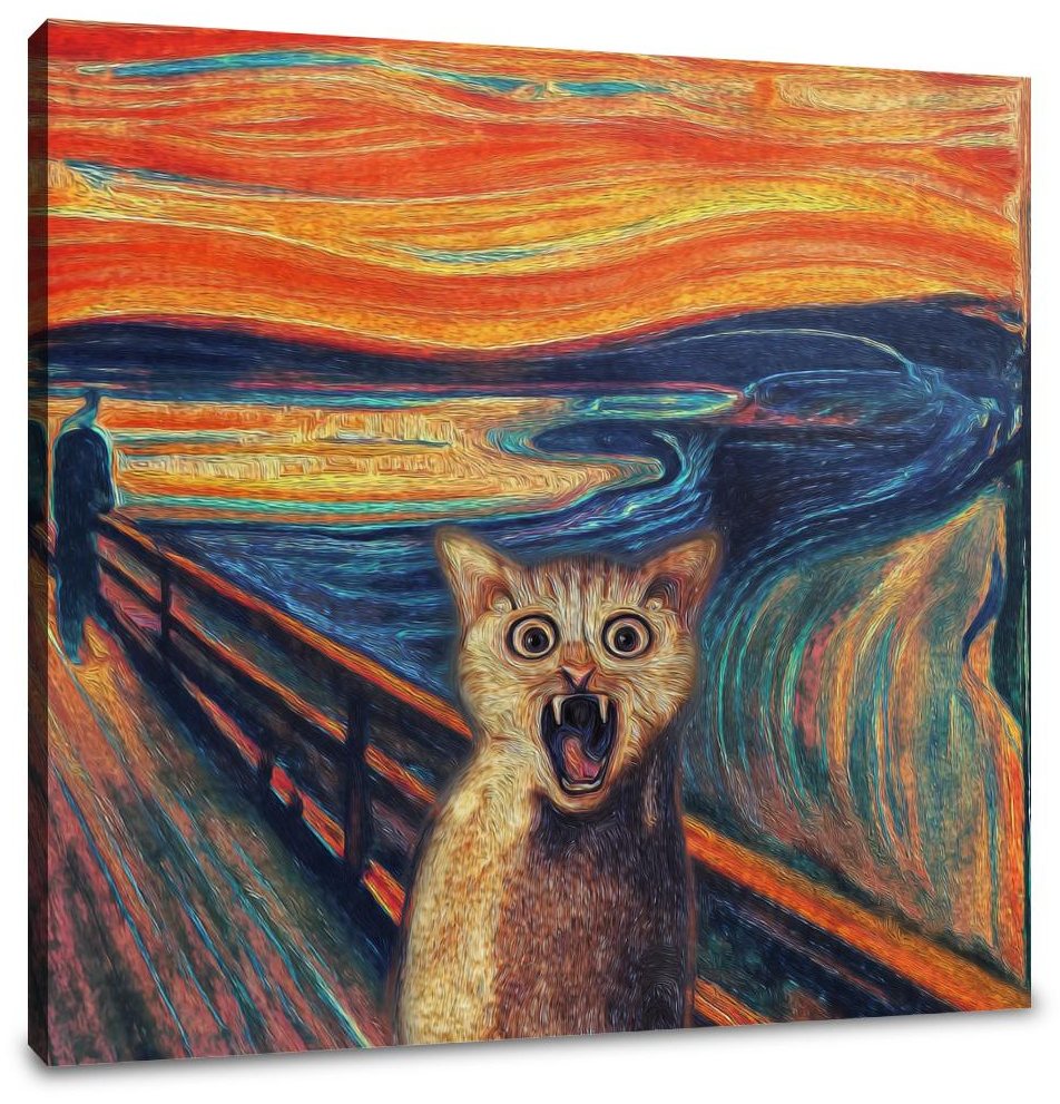 Surprised Feline Expressive Canvas