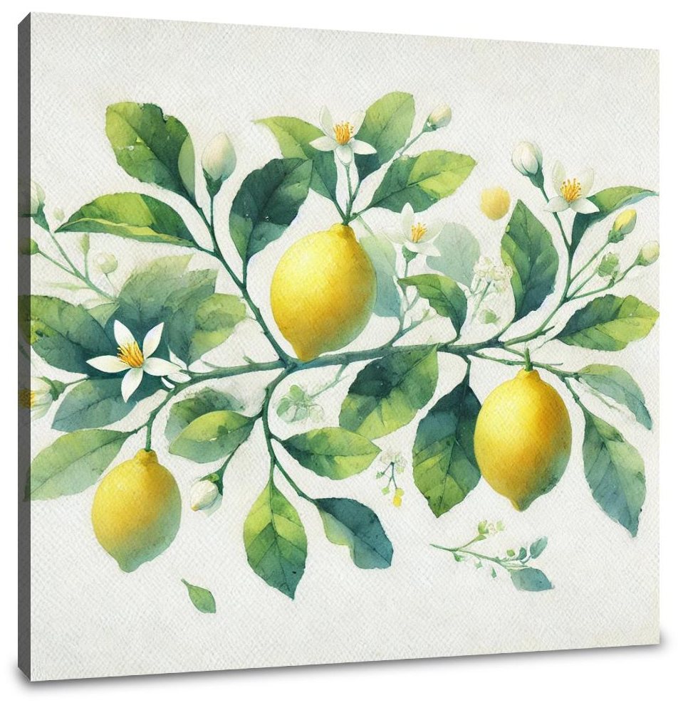 Lemon Blossom Watercolour Canvas