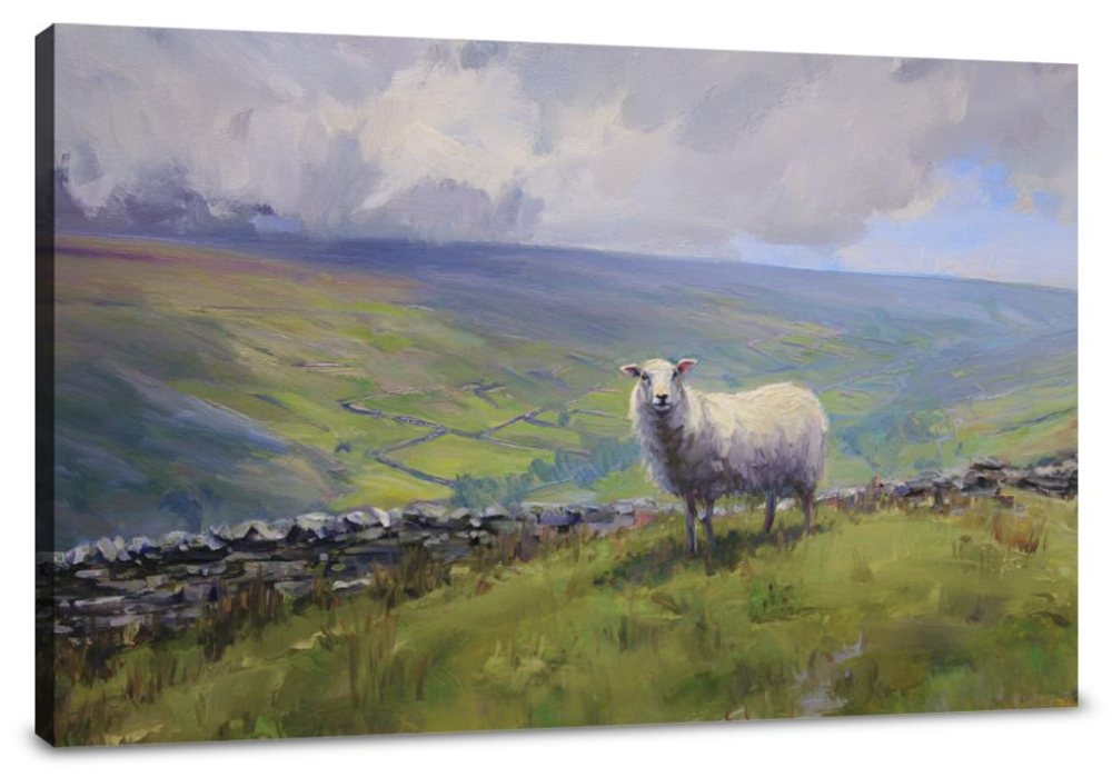 Sheep on Yorkshire Canvas