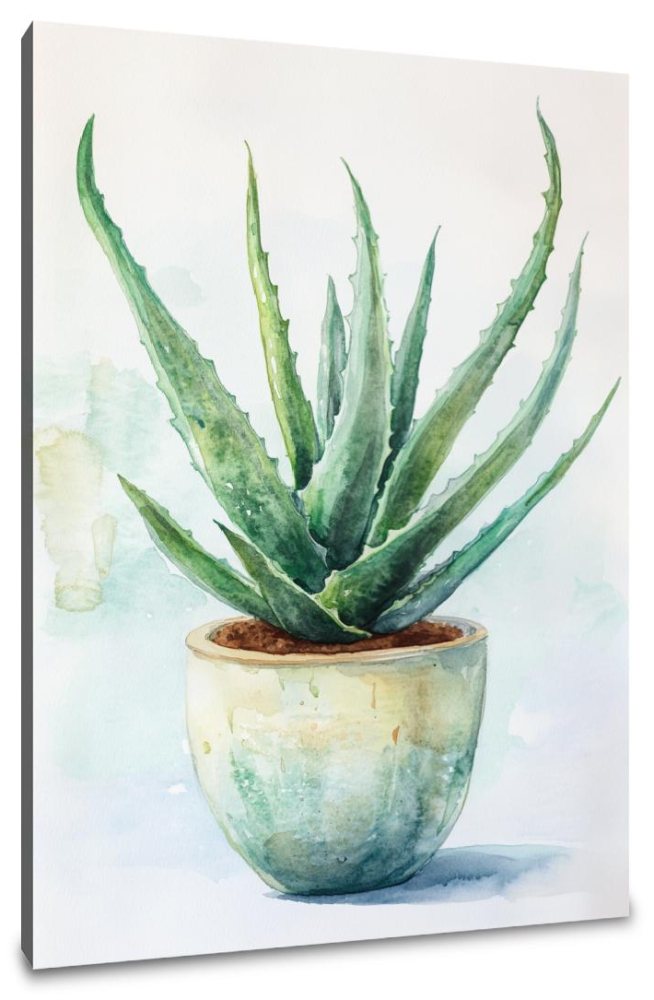 Healing Aloe Vera Canvas