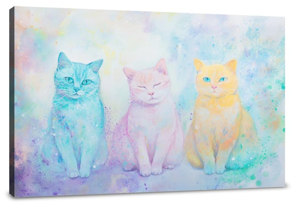 Tricolour Cats Canvas